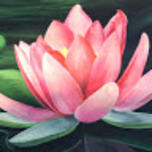 Meet your Posher, Aida